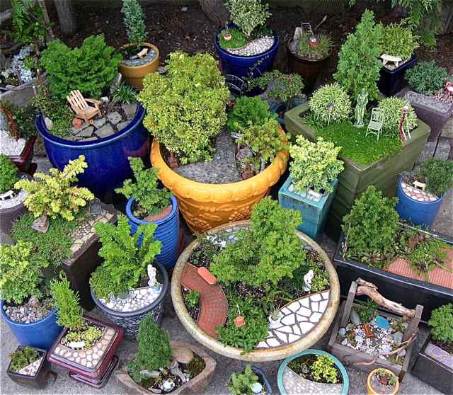 Mini Garden in Pot! It's easy!  PrimeEdges