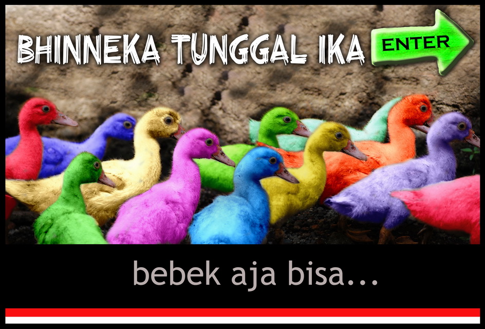 Bebek Aja Bisa… [Indonesia Bersatu]  PrimeEdges